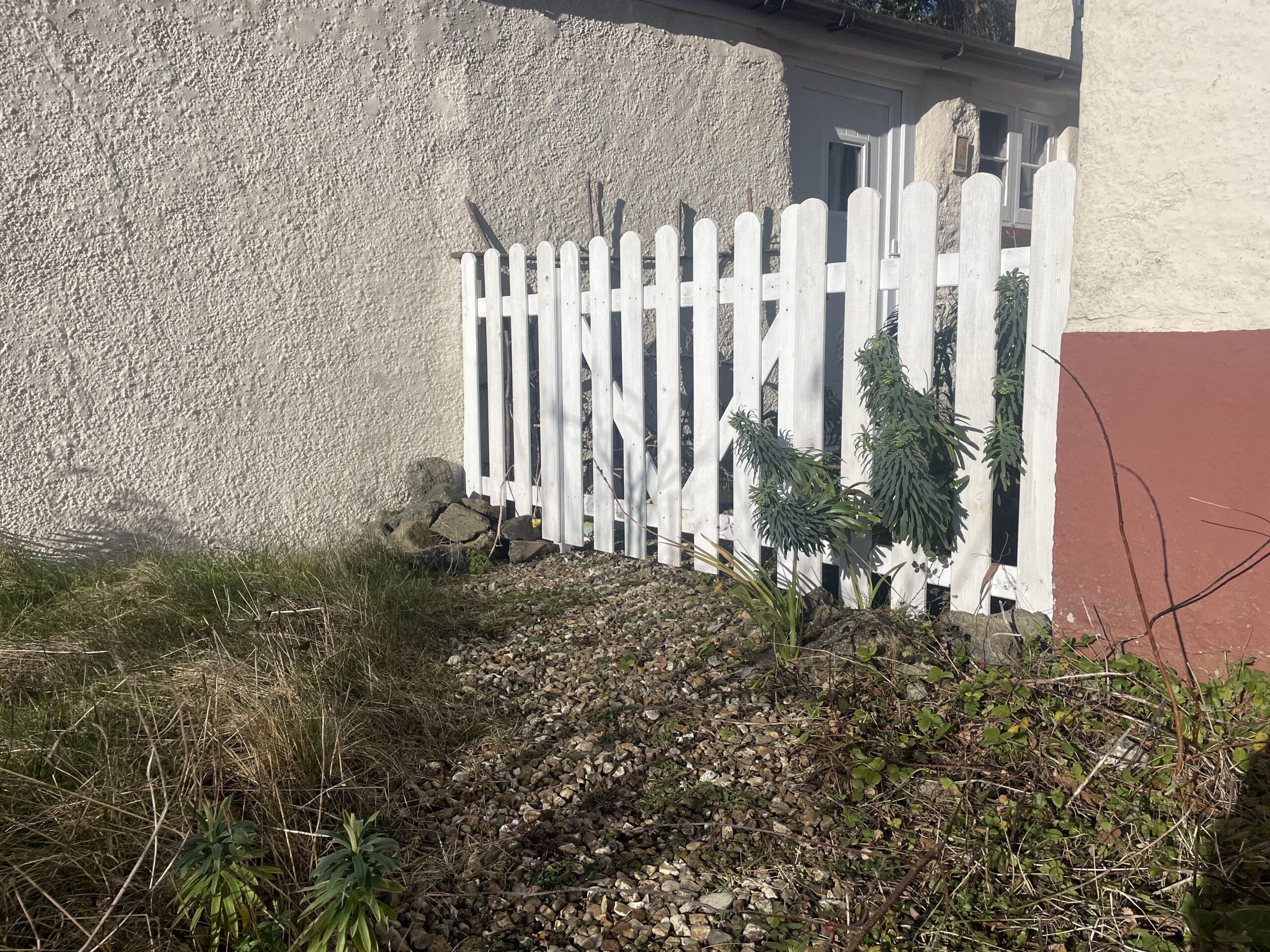 Fence and gate build by teignexe handyman